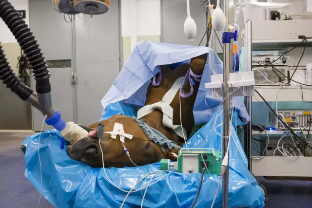 Колоноскопия проводится под наркозом