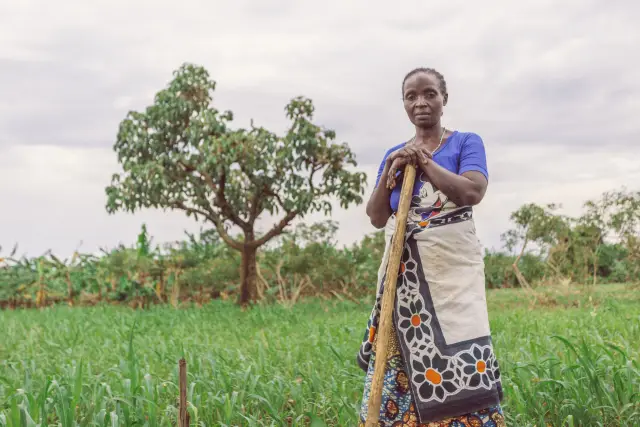 Загрязнение CO2: Лес достигает своего предела